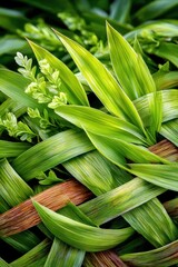 Obraz premium Intricate weave of vibrant green leaves