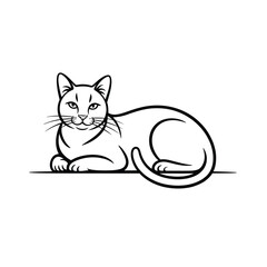 Elegant feline resting animal domestic