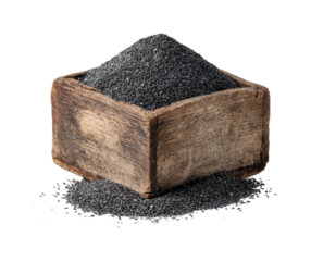 Harvesting black seeds for culinary uses in rustic kitchen natural lighting isolated on transparent background, png