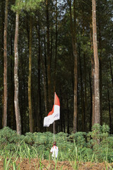 Children waving the red and white flag, Indonesian Independence Day