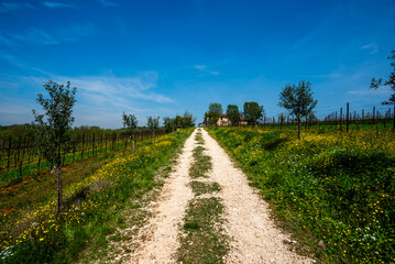 2024 04 07 Lonigo country road 5