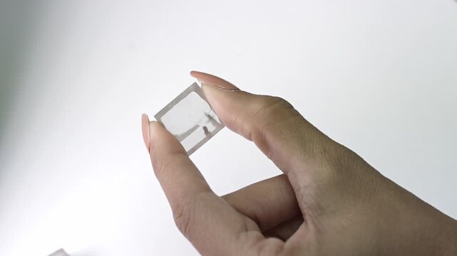 Row labgrown Diamond larger size in diamond polishing and manufactoring unit 