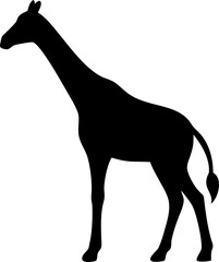 Giraffe Silhouette Icon – Wild Animal, Nature & Tall Symbol


