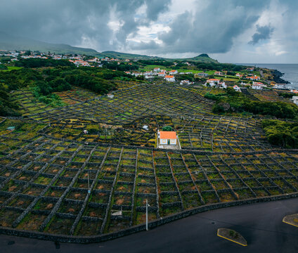 Aerial view of geometric vineyard plots and a solitary white-roofed house nestled amid dark volcanic stone walls, under a brooding sky, Baia das Pombas, Portugal.