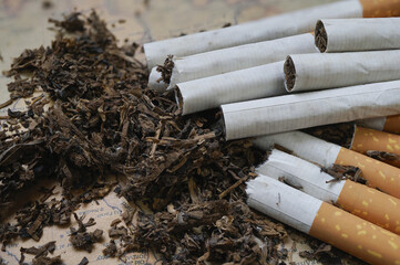 Close up image of several cigarettes partially unrolled, revealing loose tobacco alongside them on textured surface. scene highlights raw materials used in cigarette production