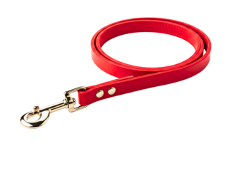 Red leather dog leash with two metal clips isolated on transparent background