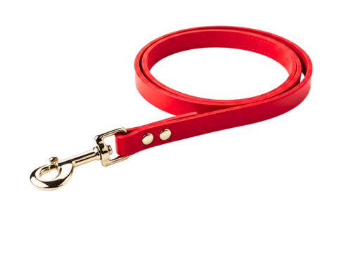 Red leather dog leash with two metal clips isolated on transparent background