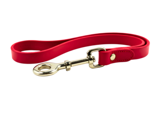 Red leather dog leash with two metal clips isolated on transparent background