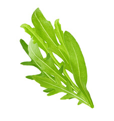 fresh arugula leaves isolated on transparent background.