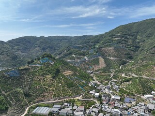 和歌山県の綺麗な蜜柑の丘をドローン空撮