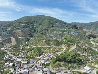 和歌山県の綺麗な蜜柑の丘をドローン空撮