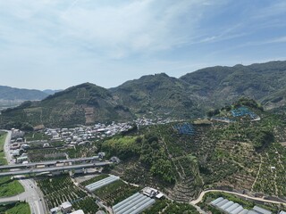 和歌山県の綺麗な蜜柑の丘をドローン空撮