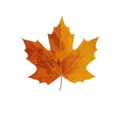 Obraz premium Stylized Maple Leaf Silhouette with Subtle Vein Texture on White Background