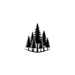 Obraz premium Silhouette of a cluster of evergreen trees with varying heights and dense needle patterns