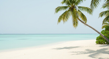 Idyllic Tropical Beach Scene with Palm Tree and Tranquil Ocean
