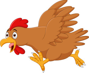Cartoon funny chicken running on white background Vector