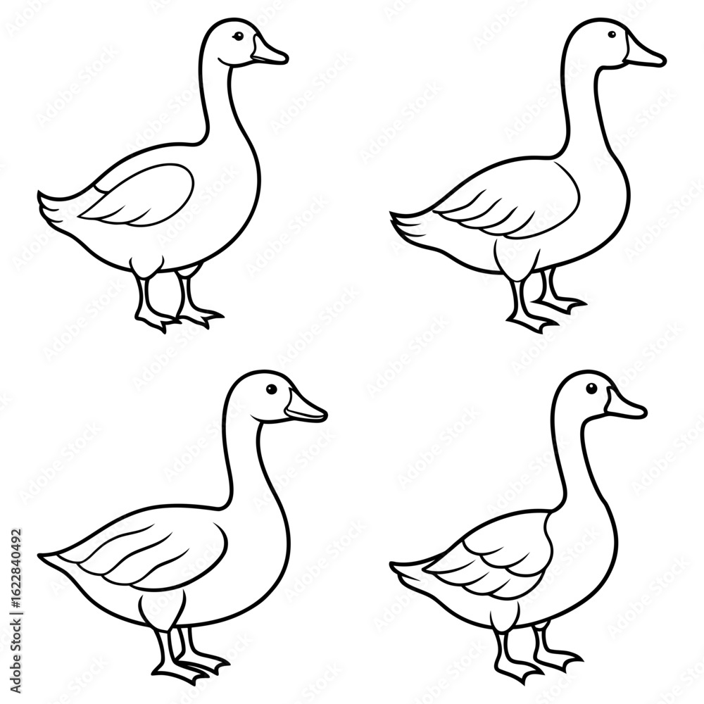 Poster four outlined geese standing in different poses with smooth lines and simple shapes on white backgro