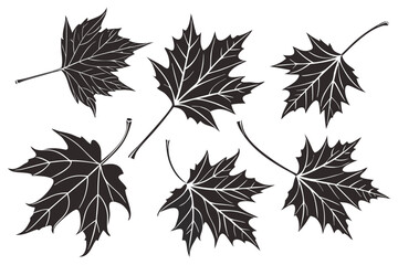 Set of black maple leaf silhouettes with detailed vein drawings. Vector graphic collection of six hand-drawn autumnal leaves for botanical or seasonal design.