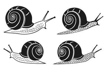 Set of four black and white snail illustrations. Minimalist graphic vector icons of crawling mollusks with spiral shells isolated on a white background.