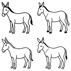 Four outlined donkey illustrations standing in different positions on a white background clearly visible