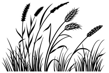 Elegant silhouette of various field grasses and ripe wheat ears swaying gently in a light breeze on a white background