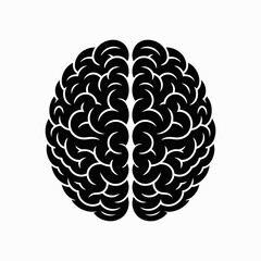 brain, human brain, illustration, line art, graphic, anatomy, mind, thought, intelligence, psychology, science, neuron, nervous system, black and white, outline, mental, education, learning, cognitive