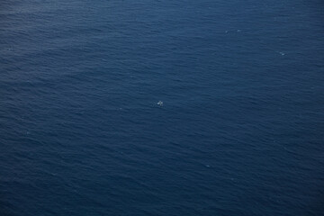 Expansive Deep Blue Sea with a Solitary Bird Soaring Above the Waves