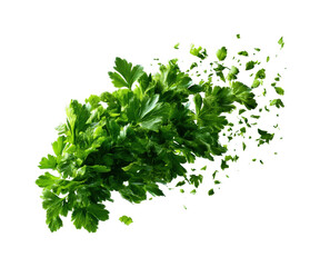 Obraz premium Fresh parsley explosion kitchen food bright isolated on transparent background, png