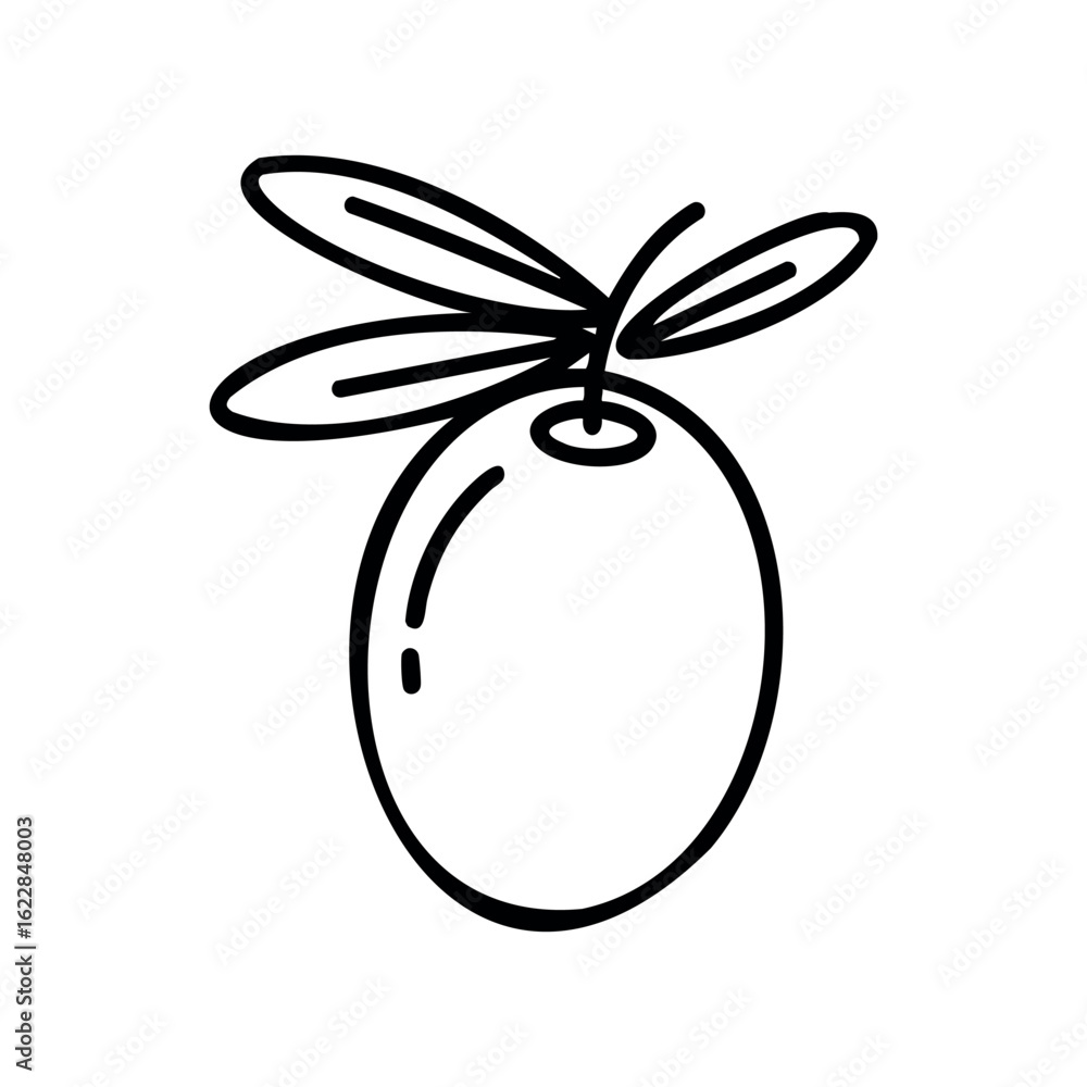 Poster outline drawing of an olive with two leaves on a stem – stock vector icon in line style