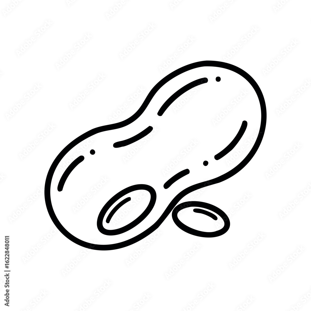 Poster outline of a peanut with simple line art detailing – stock vector icon in line style