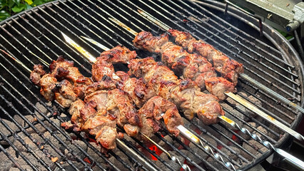 Pieces of meat on a skewer grilled