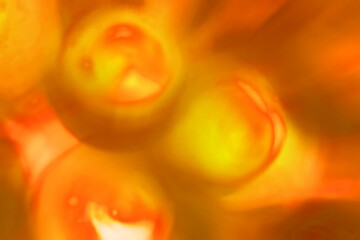 赤オレンジ黄色に美しく発光、輝くやわらかいフワフワとした印象のイクラ風イメージテクスチャー