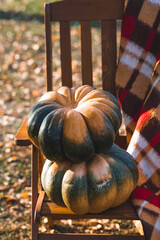 Autumn pumpkin background. A rich harvest of melons. The concept of a Halloween or Thanksgiving...