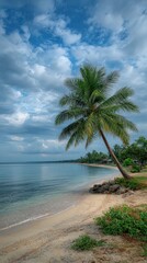 Tropical beach scene with palm tree (2) © Ira