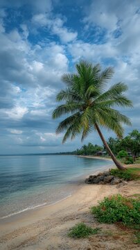 Tropical beach scene with palm tree (2)