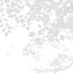 shadow overlay effect. Gray shadow of leaves isolated on white background. 
Plant foliage leaf shadow light effect. Mockup Blurred tree branch shadow. Ideal for summer spring design elements PNG