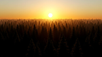 Sunrise Over Vast Evergreen Forest with Warm Light