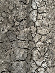 A vivid image of dry, cracked earth highlighting the severe impact of drought. This landscape serves as a reminder of the importance of water conservation and sustainable practices.