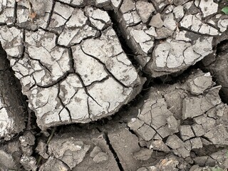 A close-up of dry, cracked earth, illustrating the devastating effects of drought. The parched soil...