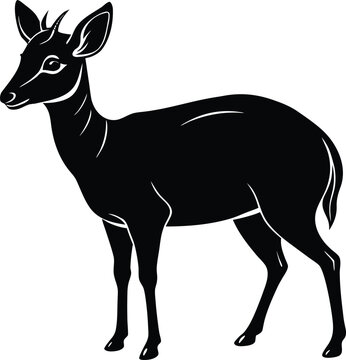 Black silhouette of a duiker antelope on white background animal wildlife