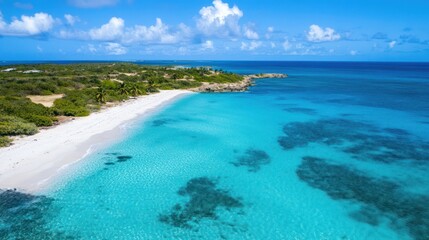 Aerial View of Pristine Turquoise Beach, Lush Green Coastline, Sunny Day.