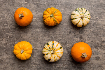 Autumn composition of little orange pumpkins on colored table background. Fall, Halloween and...