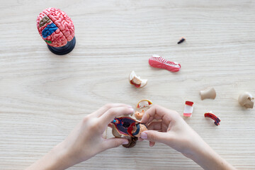 Diverse students engaged in online learning, STEM crafts, and anatomy projects at home, exploring...