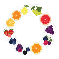 Berries and Citrus Fruits Circle
