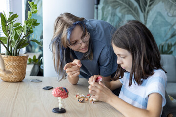 Female mentor and schoolgirl assembling anatomical brain model together. Concept of STEM education, biology learning, neuroscience and interactive teaching.