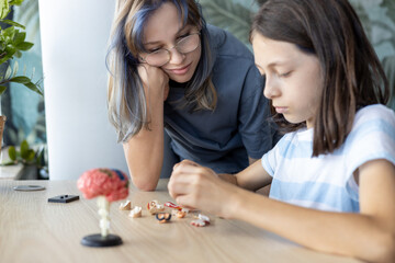 Female mentor and schoolgirl assembling anatomical brain model together. Concept of STEM education, biology learning, neuroscience and interactive teaching.
