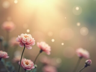 Ethereal field of pink poppies basking in warm sunlight with a dreamy, soft-focus effect. Magical and romantic floral meadow illustration with glowing light and artistic bokeh
