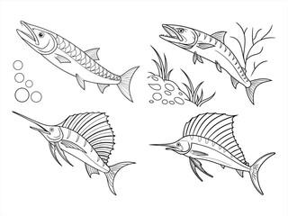 coloring page line art the barracuda black vector bundle