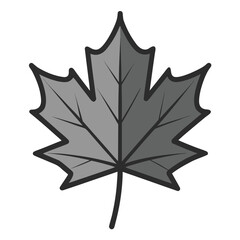 Maple leaf vector