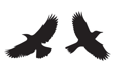 Obraz premium Two black birds in flight with spread wings silhouette